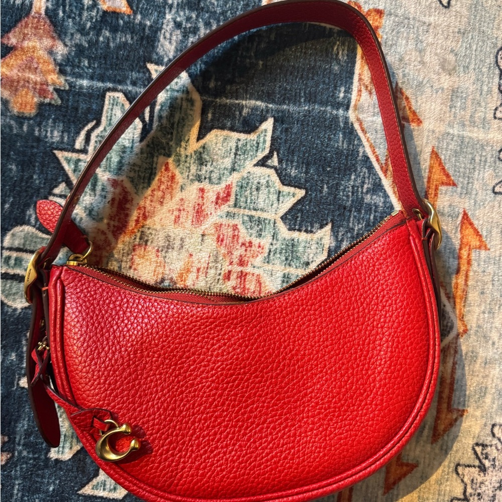 COACH Luna Soft Pebble Bag